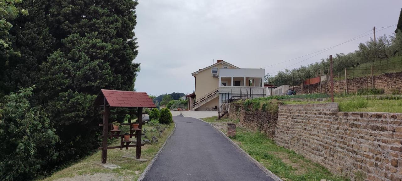 Appartamento Amare